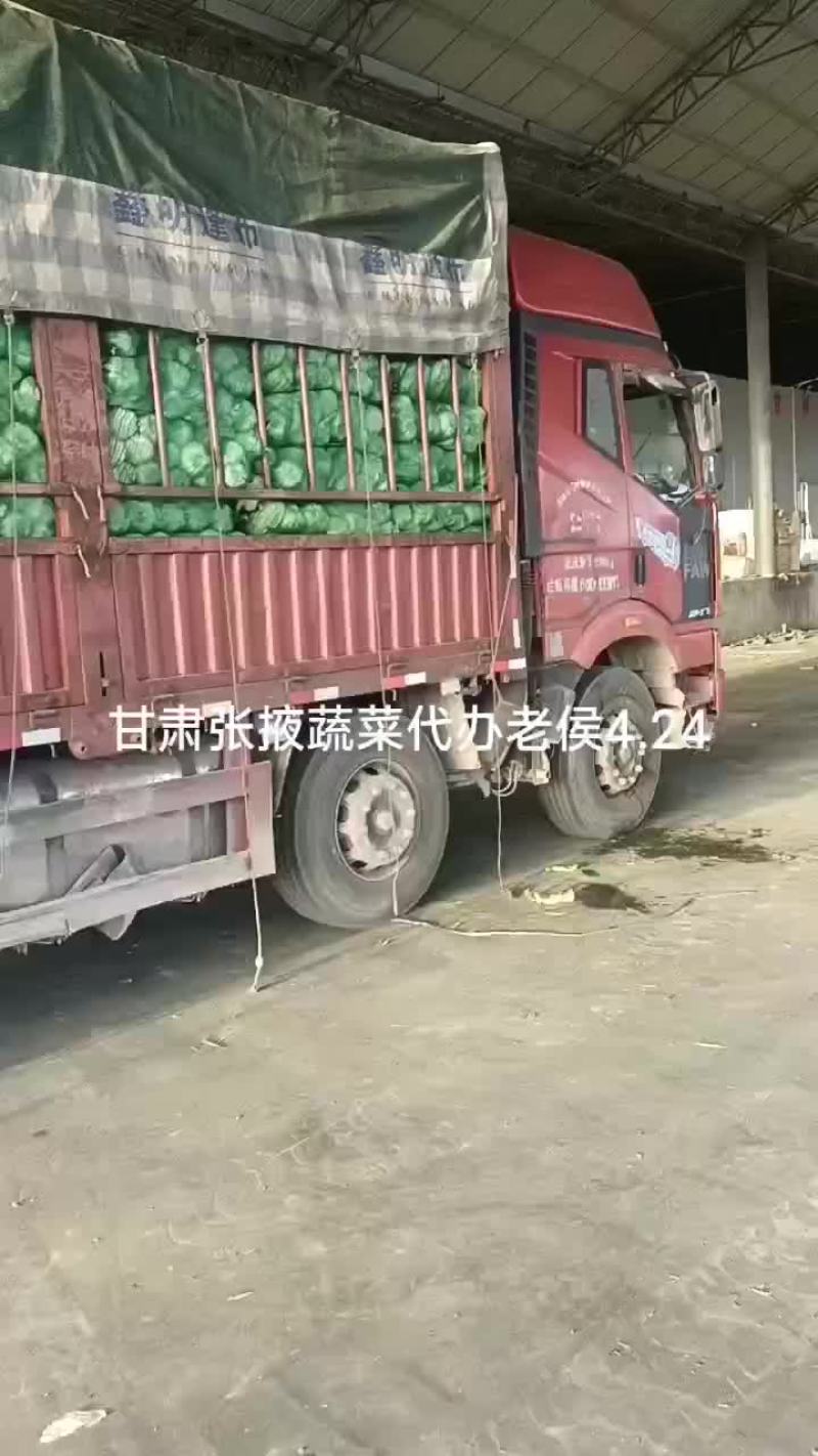 甘肃张掖大娃娃菜大量上市中，