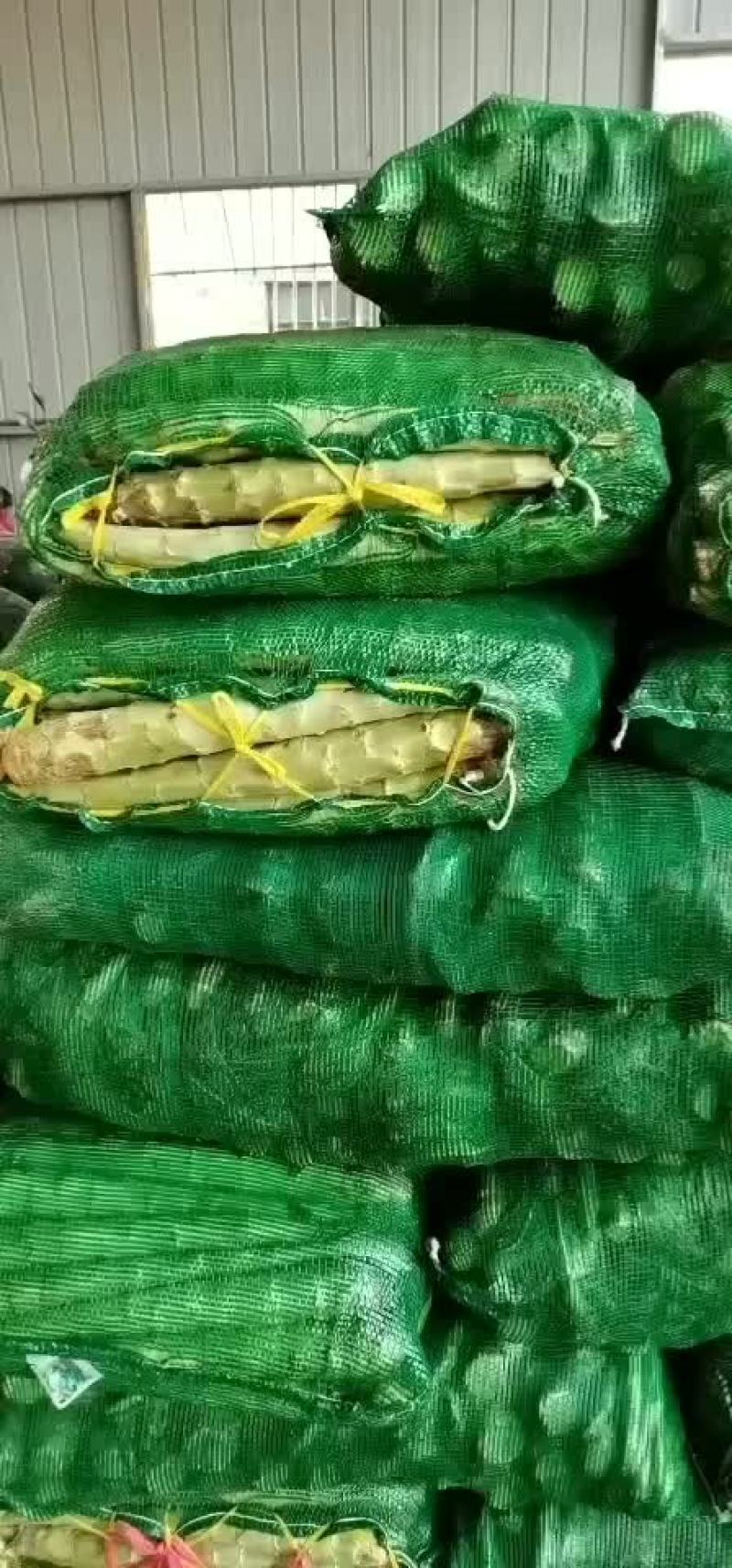 新上市露天莴苣
