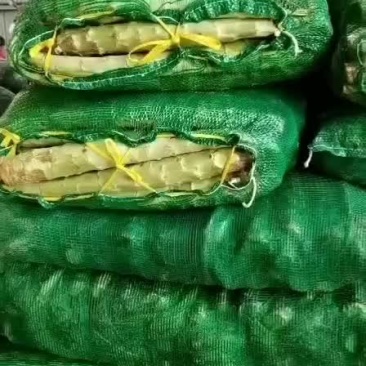 新上市露天莴苣