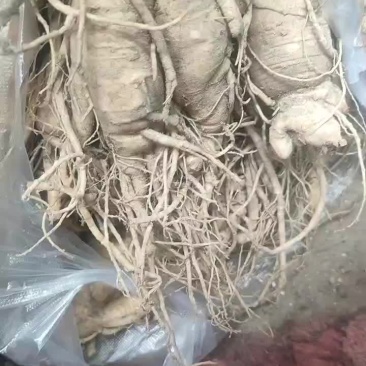 残参不分大小规格不一