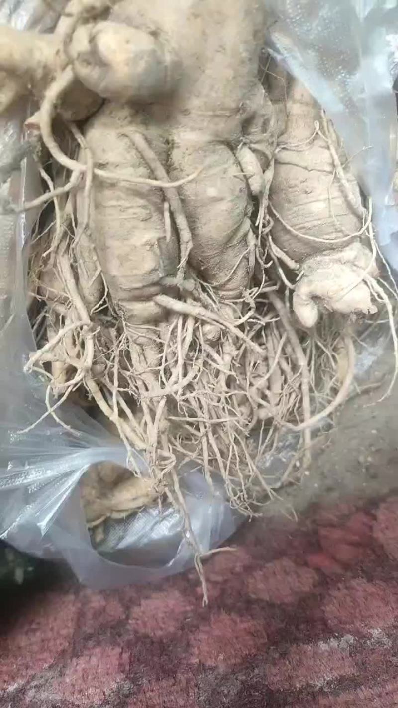 残参不分大小规格不一