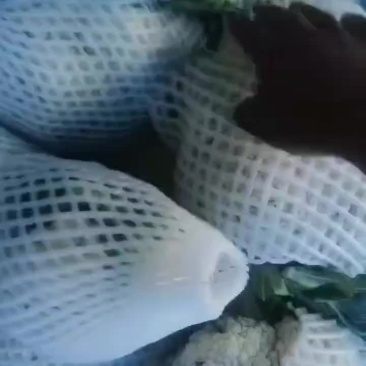 花菜