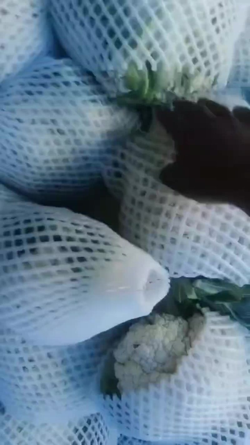 花菜