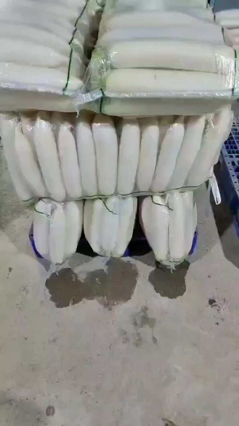 白萝卜大量上市