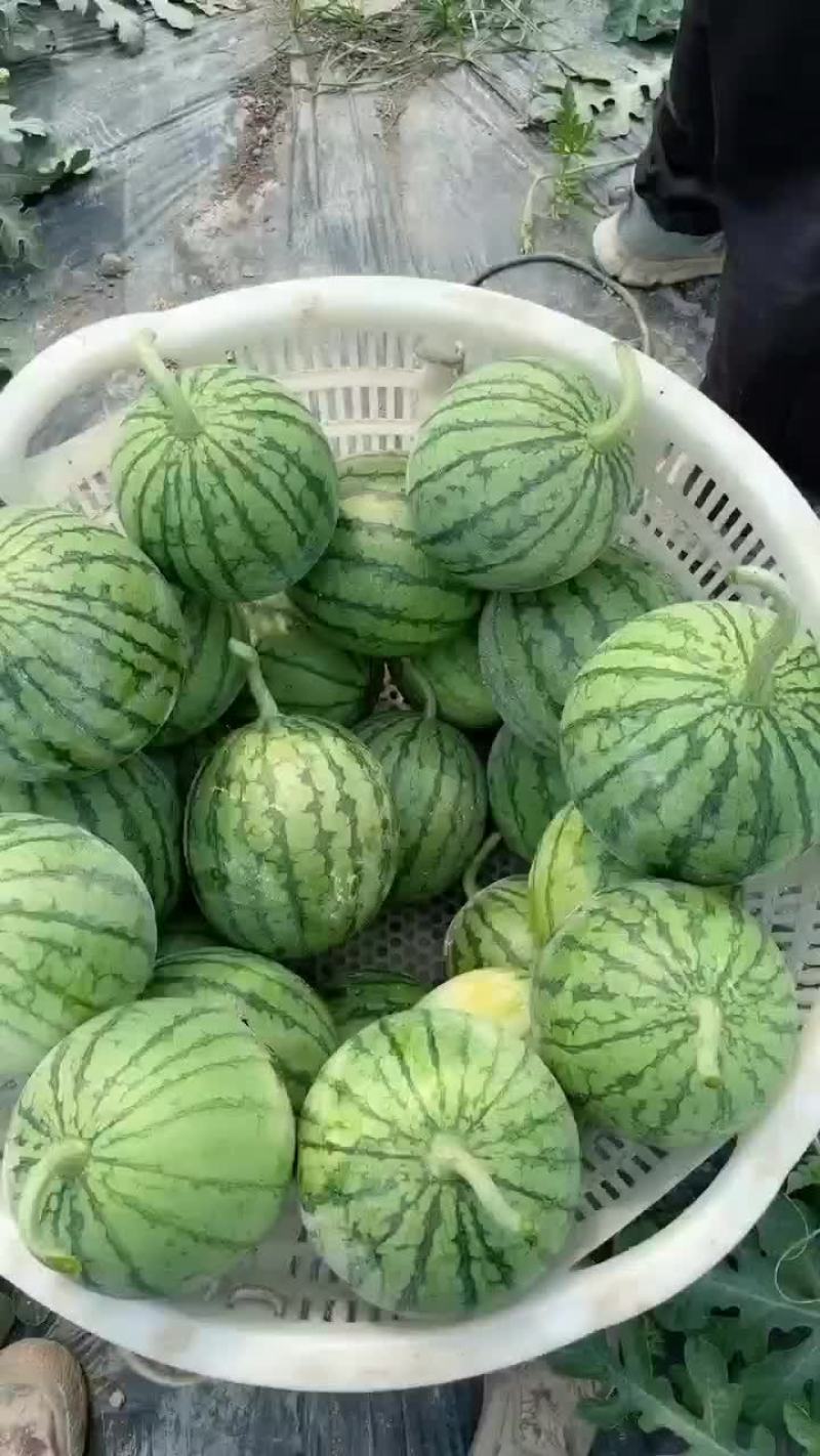 嘉秀口口脆