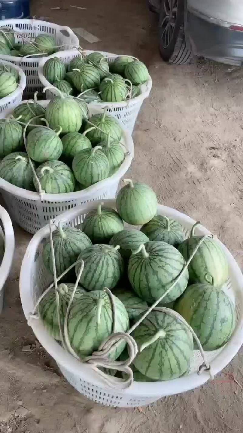 嘉秀口口脆