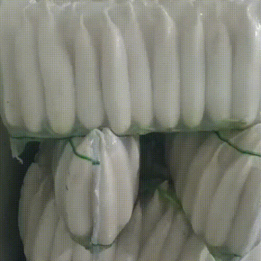 白萝卜