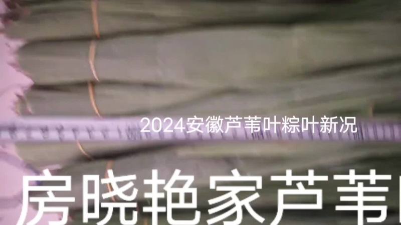 安徽新叶三指左右六十五公分左右