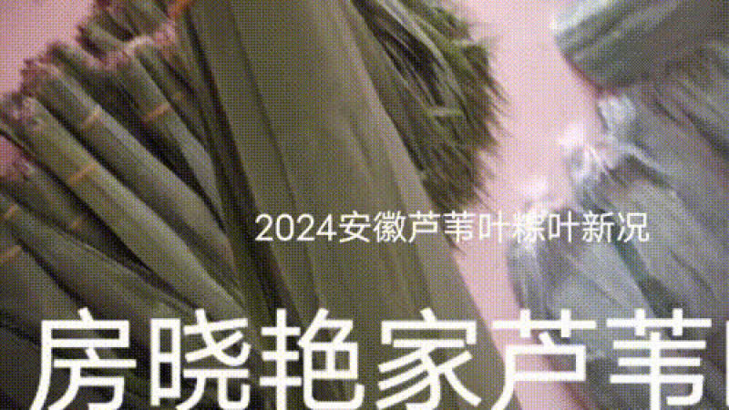 安徽新叶三指左右六十五公分左右