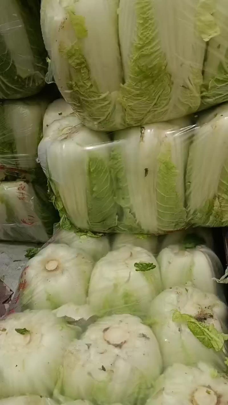 甘肃张掖大娃娃菜大量上市中，现以半毛菜过磅为主代装散装。