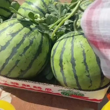 711