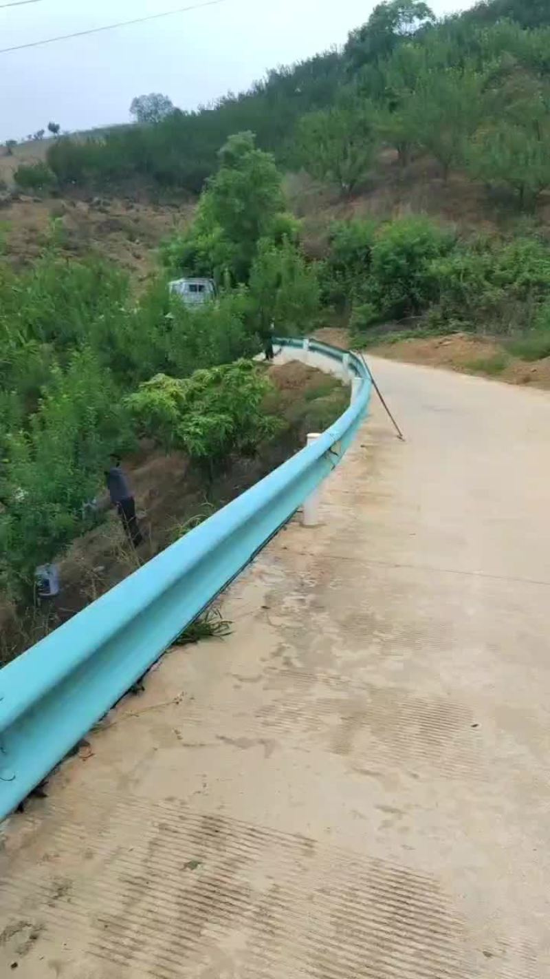 正宗六马原产地青脆李大量上市，一手货源，支持全国一件代发