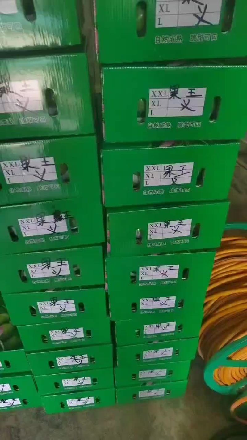 正宗六马原产地青脆李大量上市，一手货源，支持全国一件代发