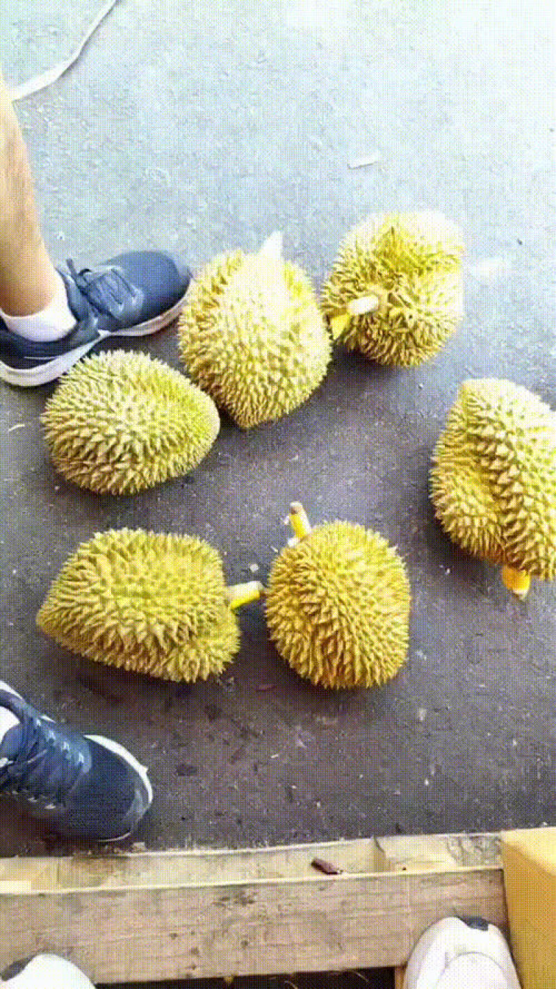 榴莲