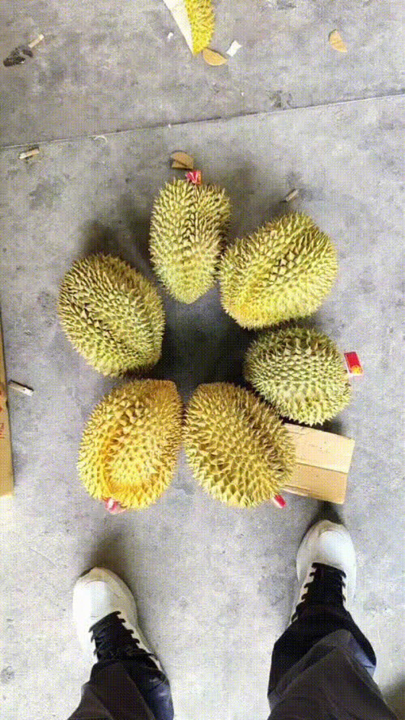 榴莲