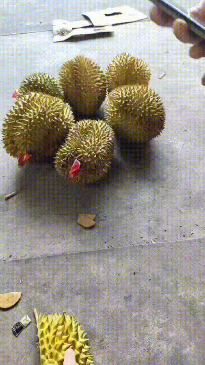榴莲