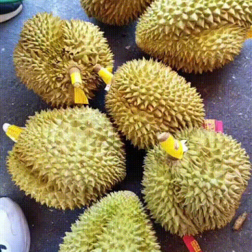 榴莲