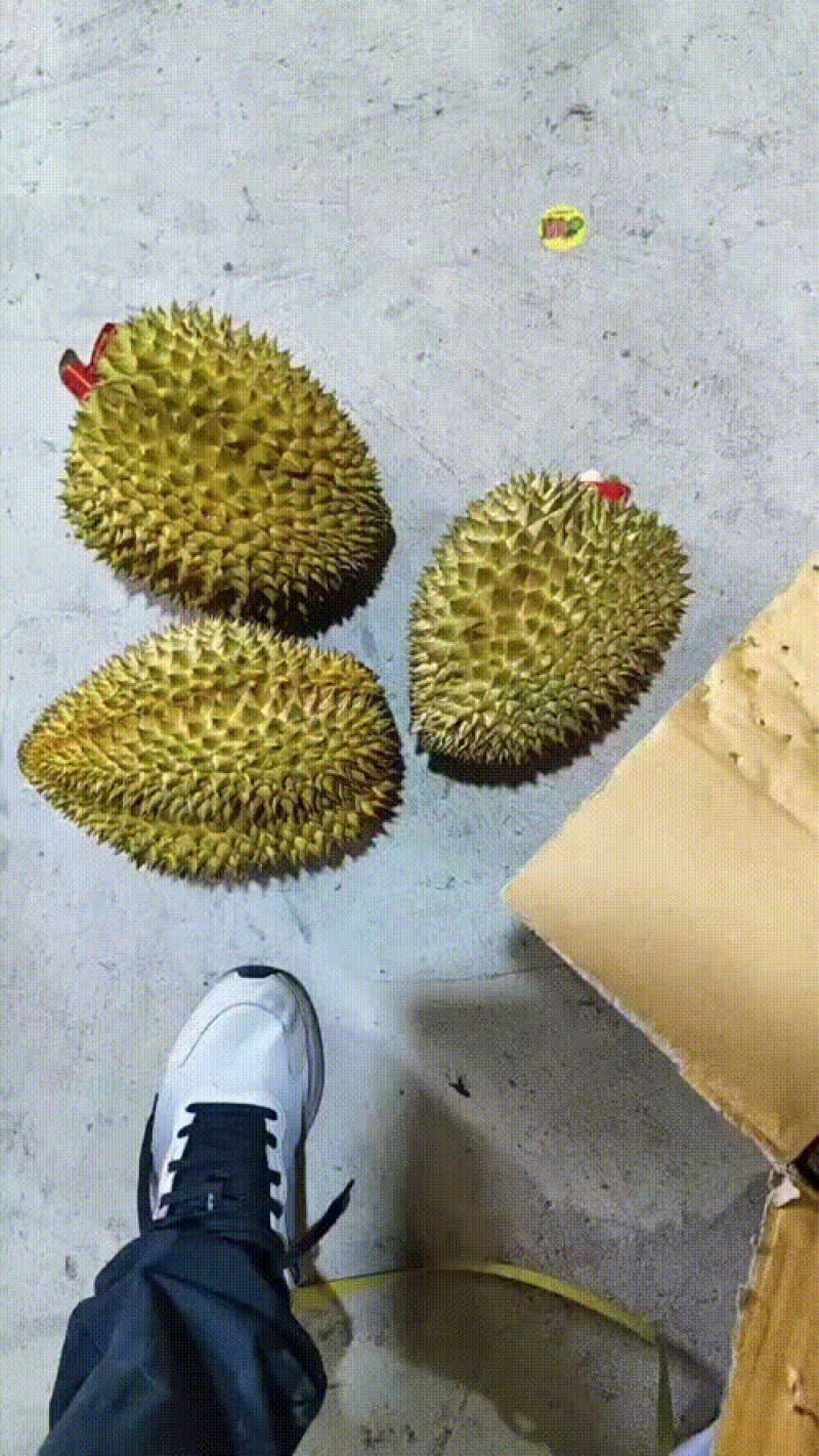榴莲