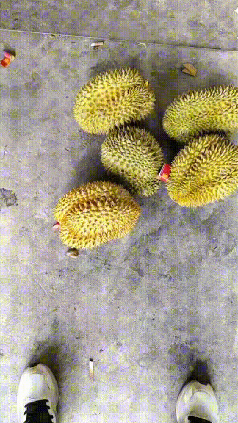 榴莲