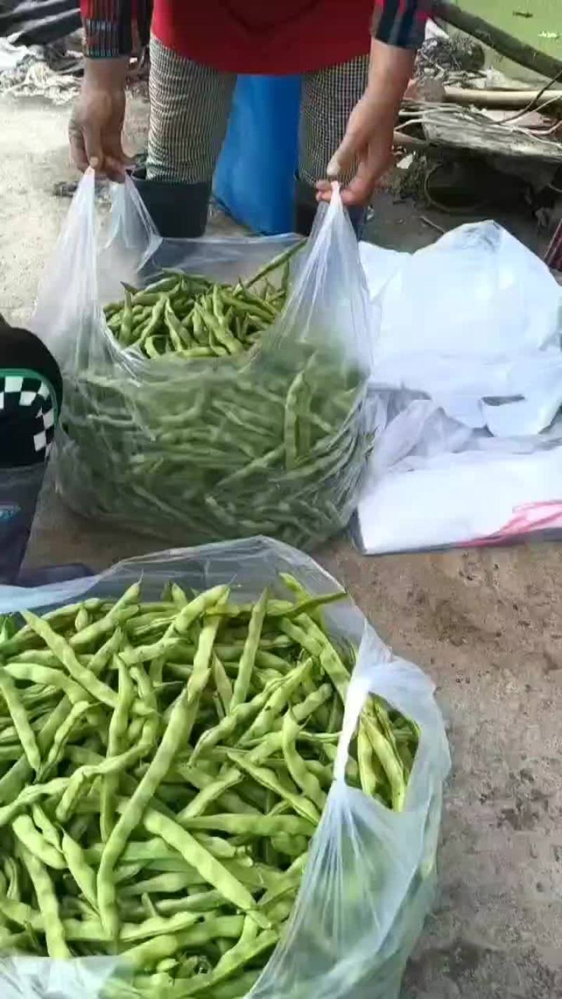 肉豆