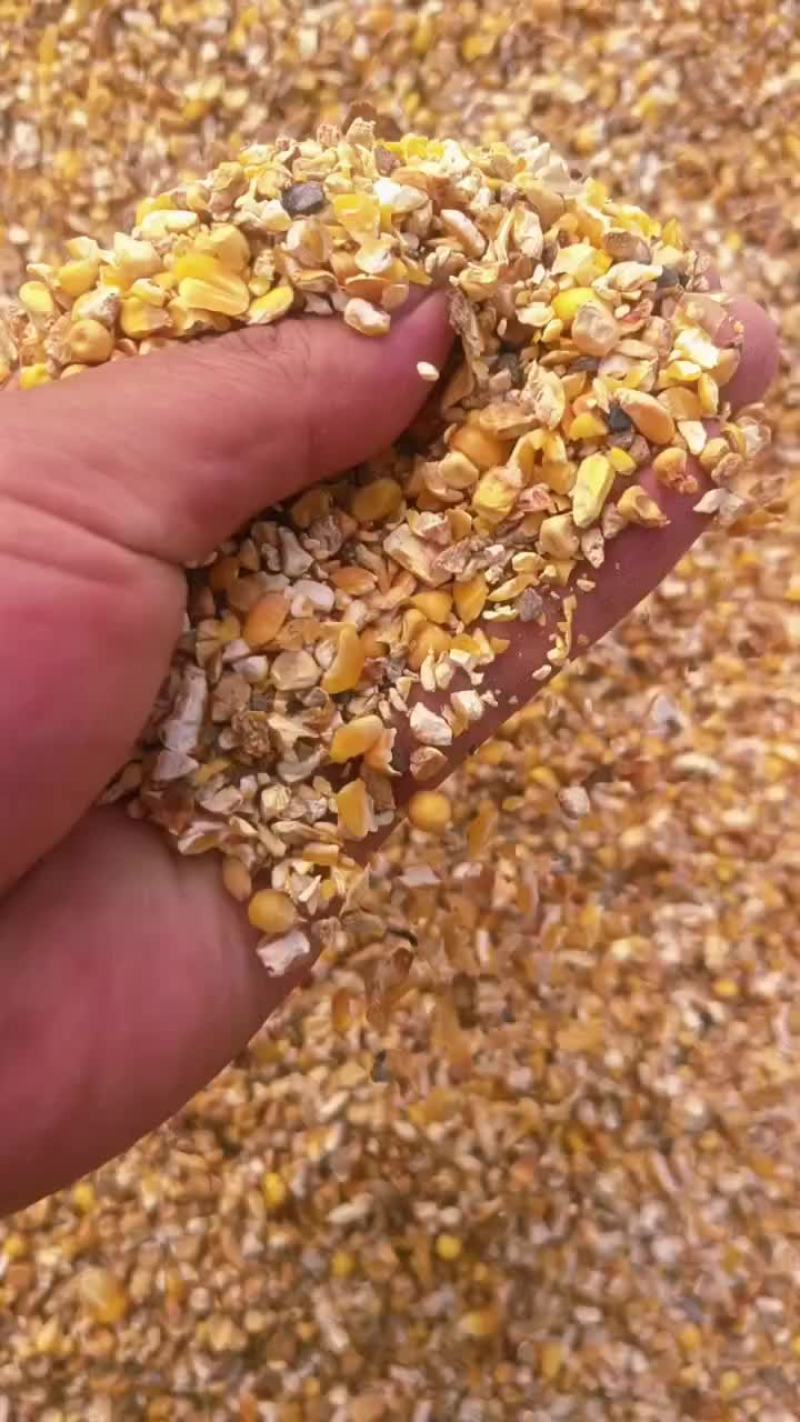 碎玉米