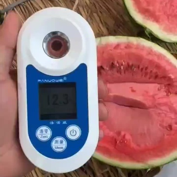 广西本地西瓜上市