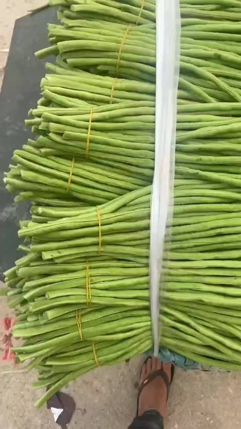 精品长豆角大量上市