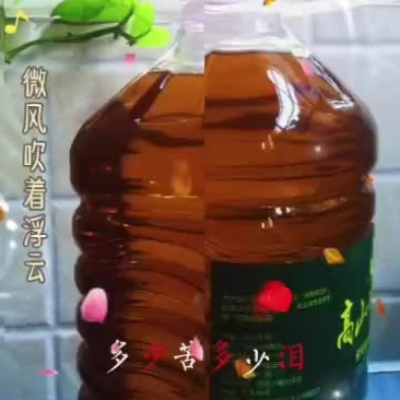 纯正山茶油，健康美味，来自大自然的馈赠，新鲜直供，品质保证。