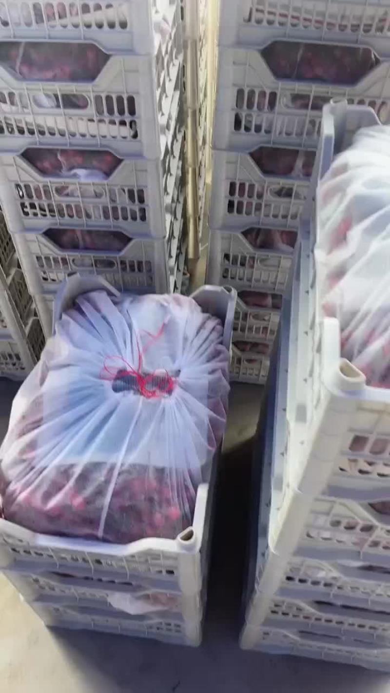 所有樱桃品种都有。