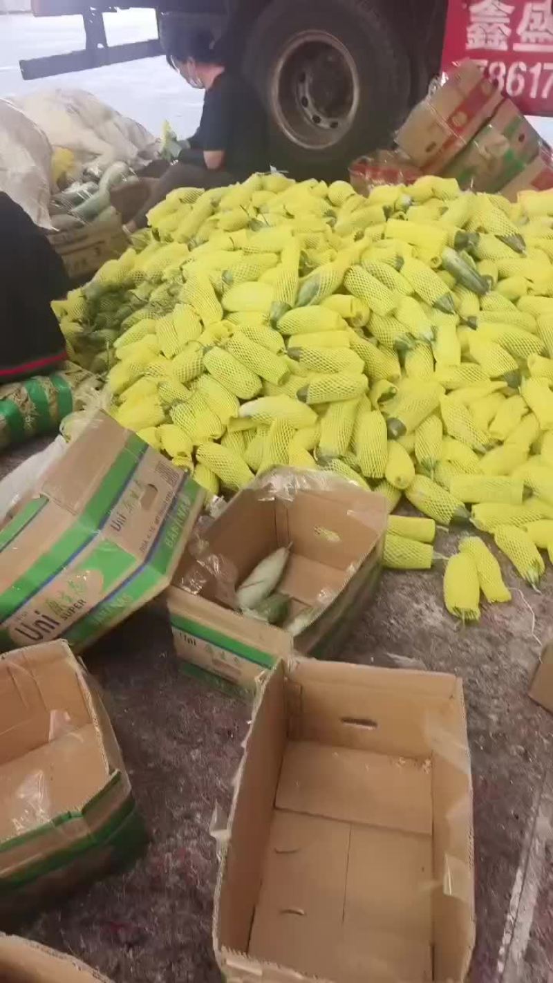 各种甜瓜