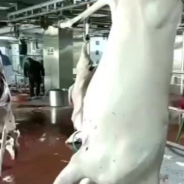 鹿肉