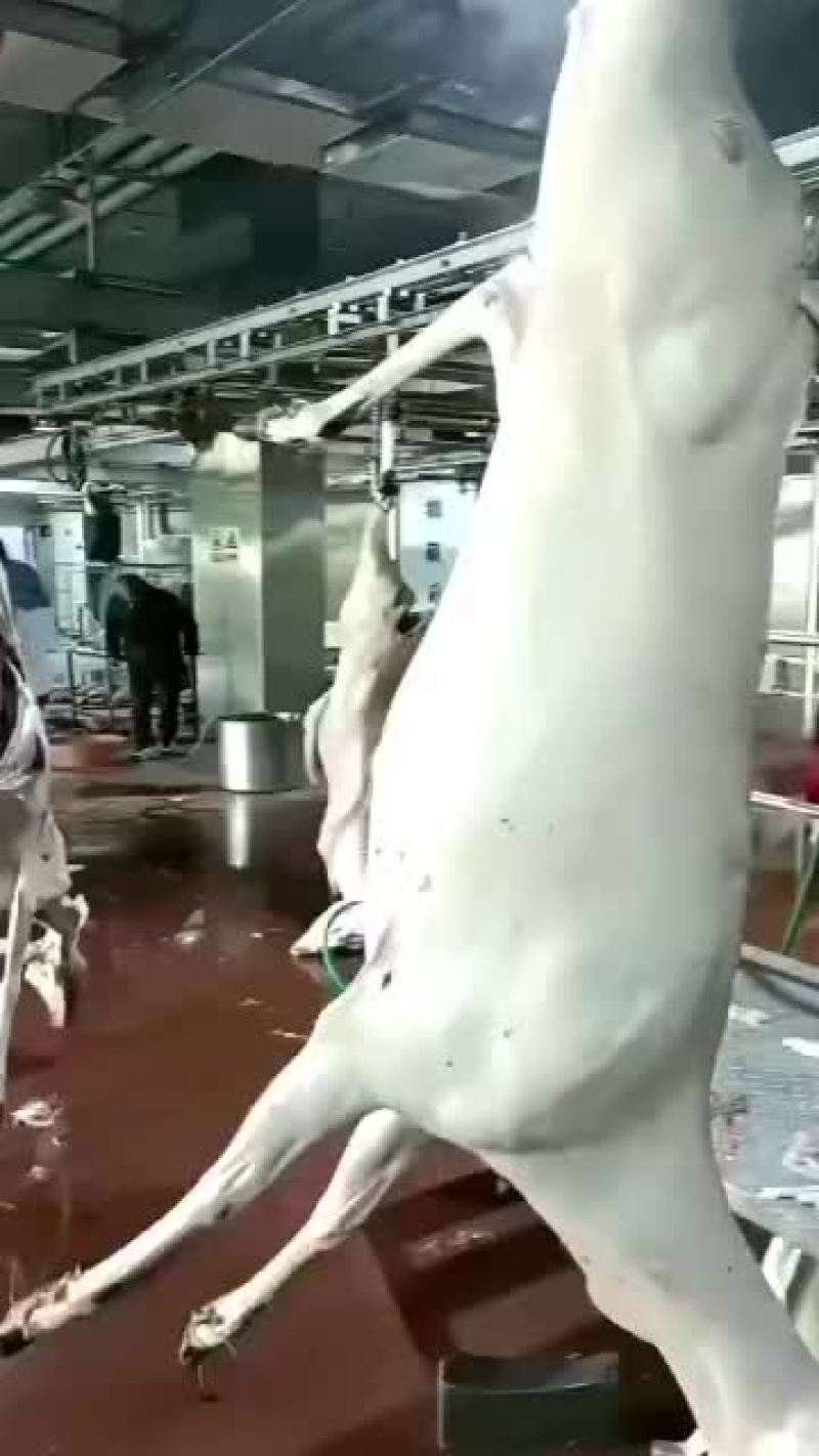 鹿肉
