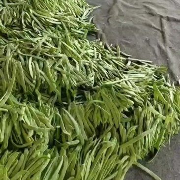 扁青