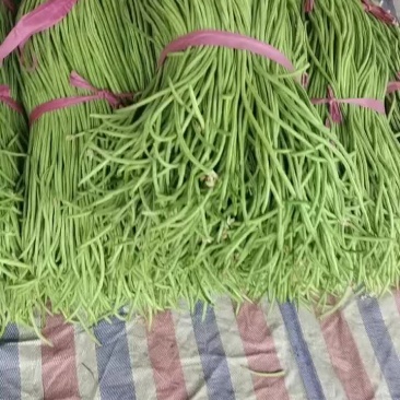 长豆角