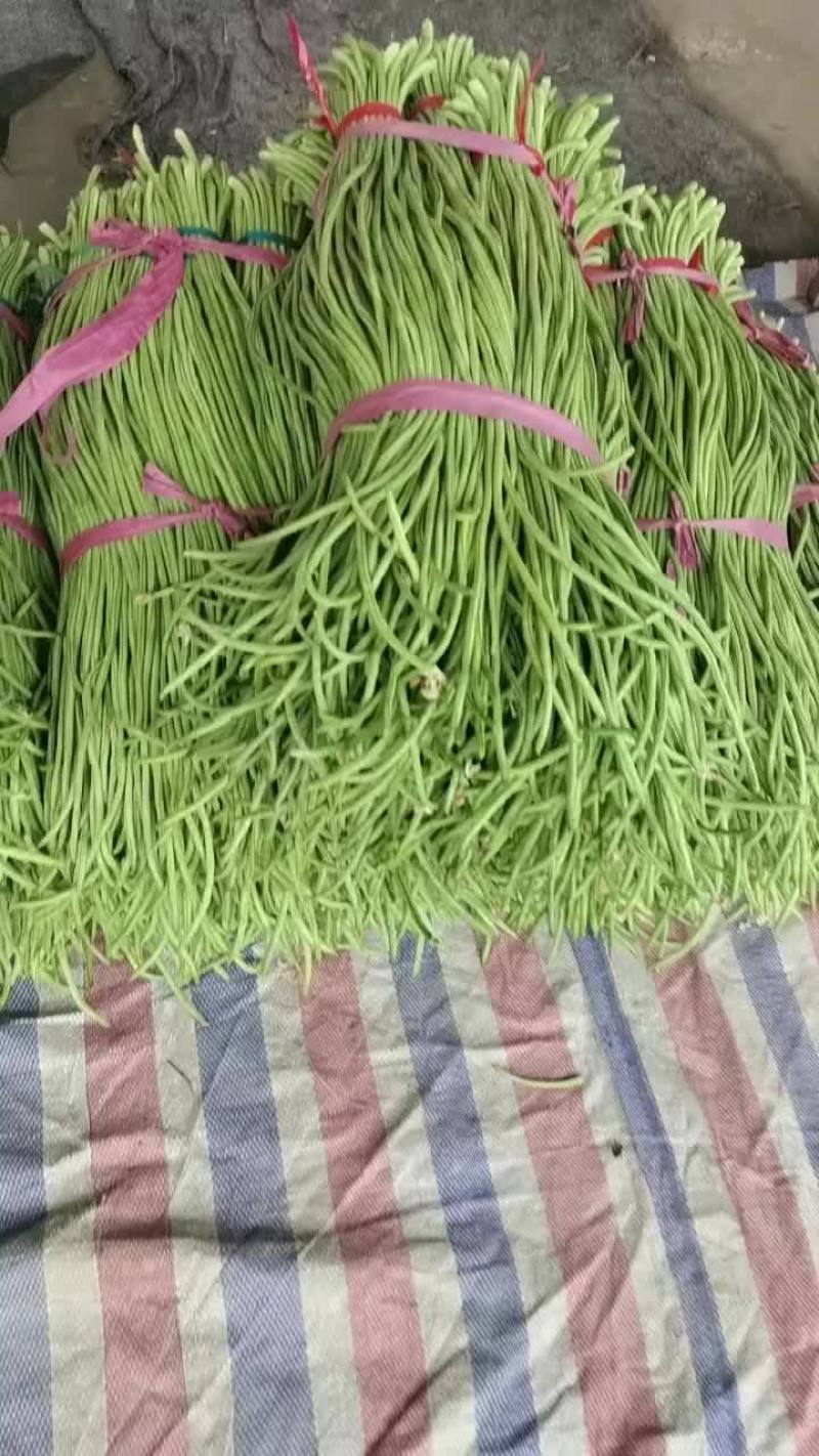 长豆角