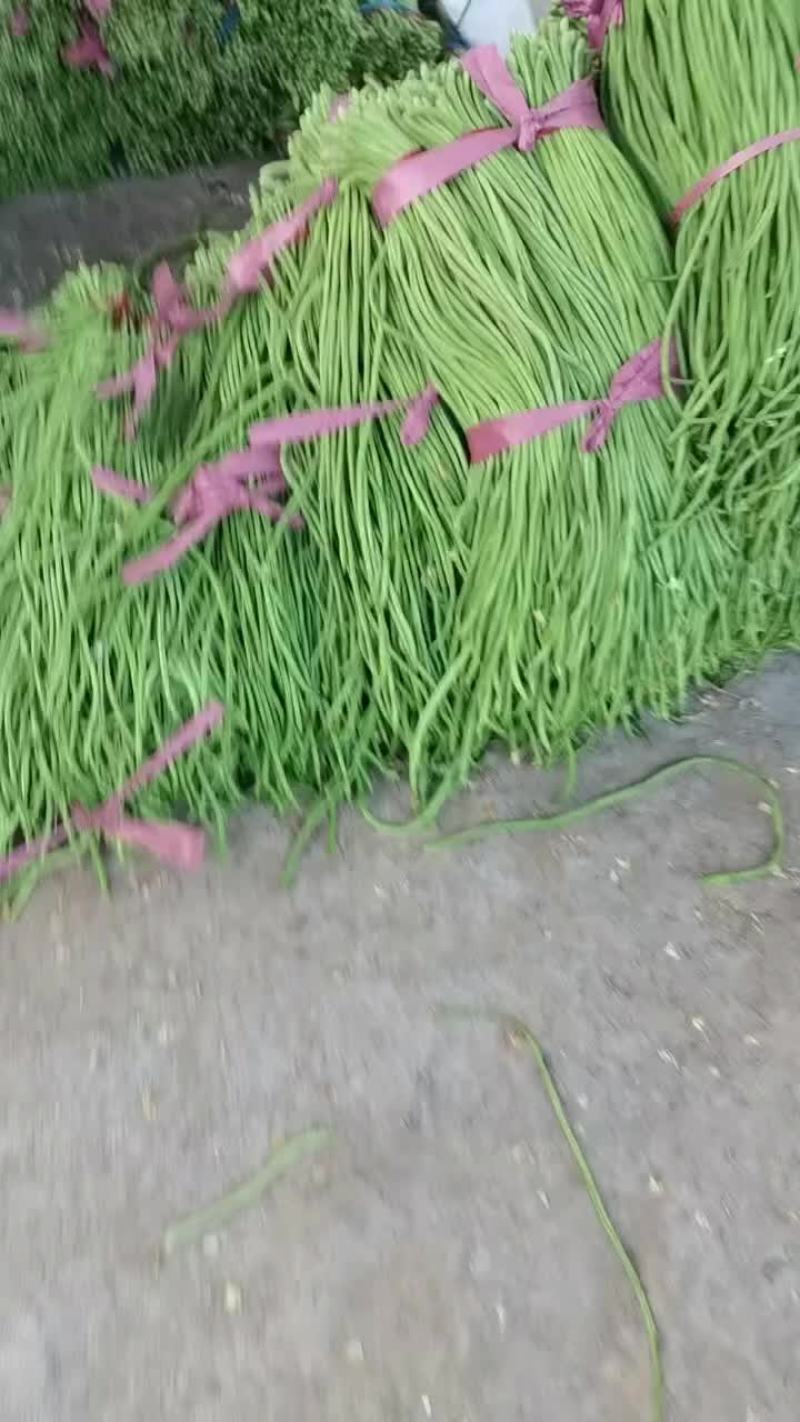 长豆角