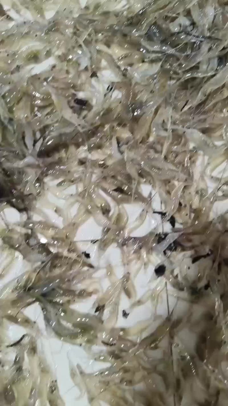 海虾仔