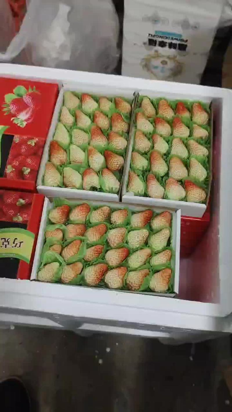 丹东红颜草莓