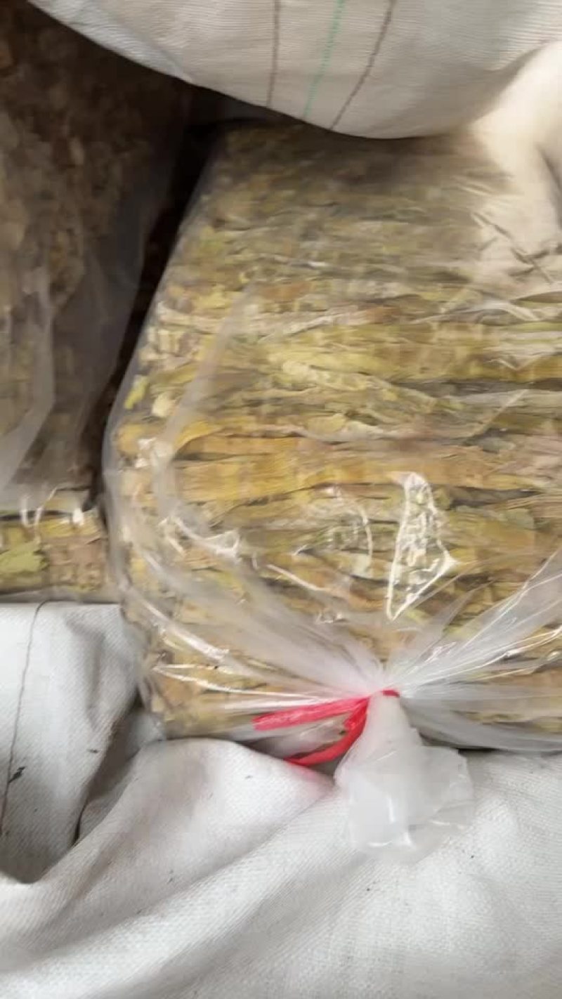 高山精品野笋干杭州基地直供货源充足质量保证欢迎订购
