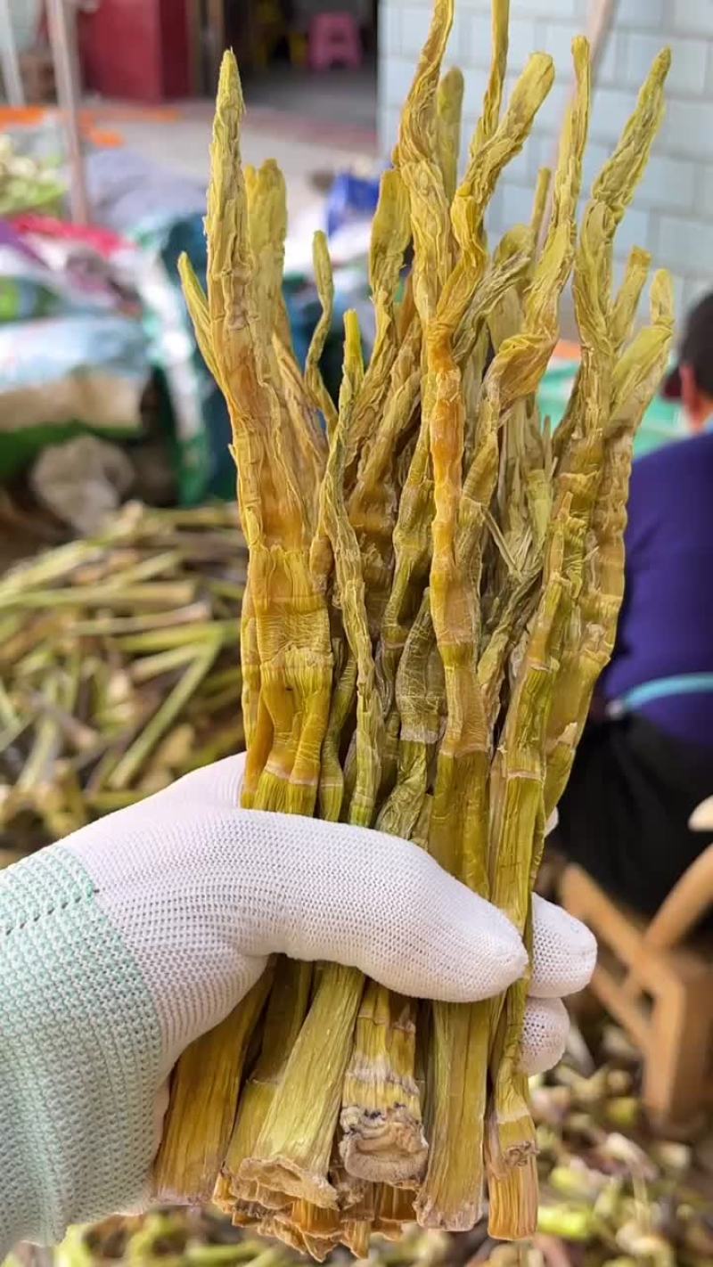高山精品野笋干杭州基地直供货源充足质量保证欢迎订购