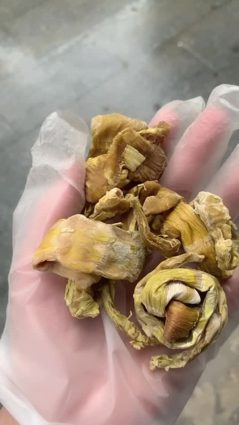 高山精品野笋干杭州基地直供货源充足质量保证欢迎订购