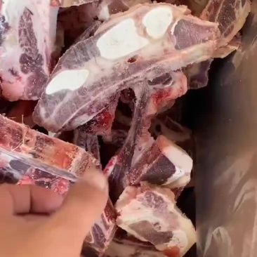 牛胸骨