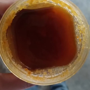 土蜂蜜