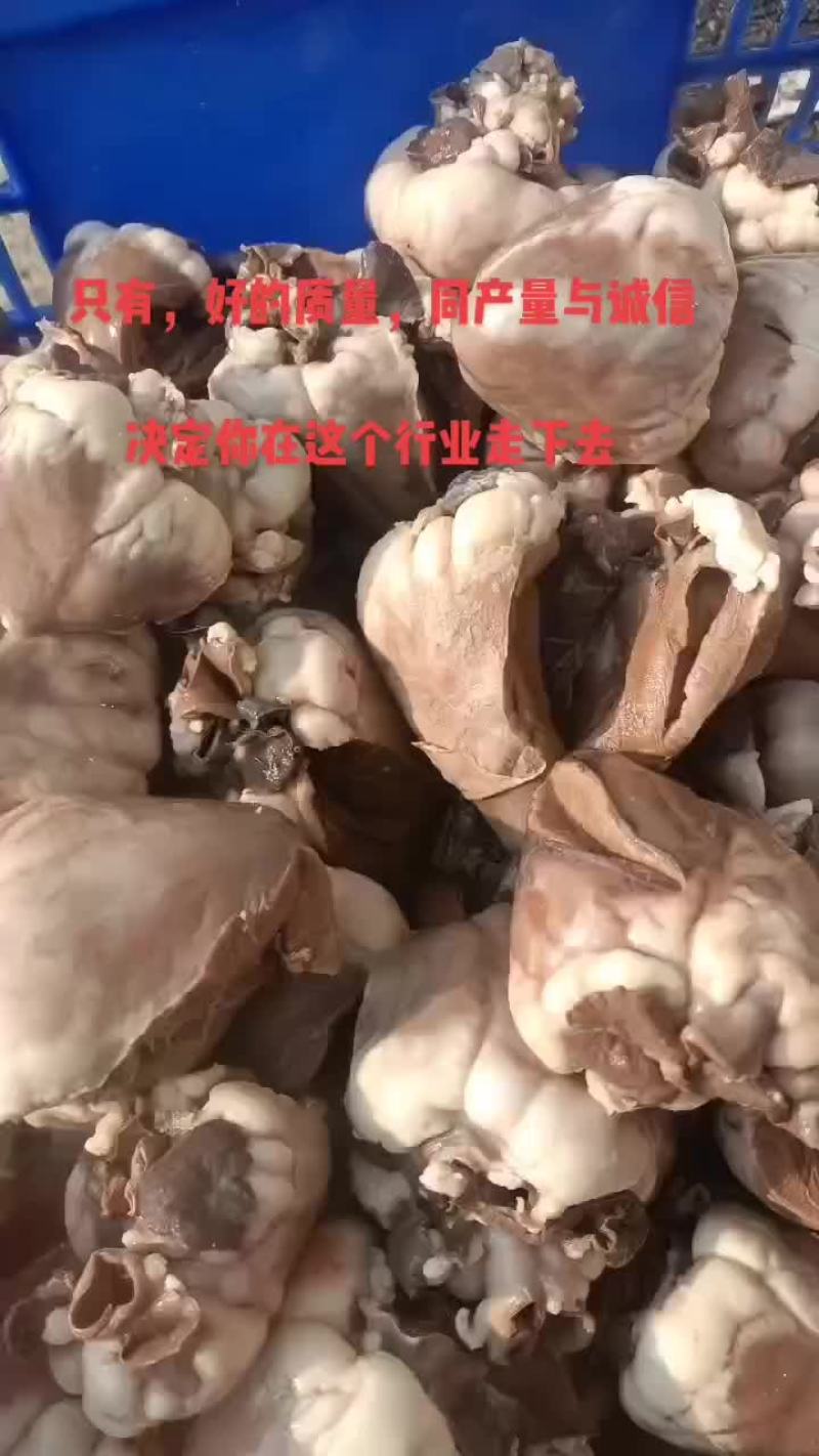 精品原油羊腰子