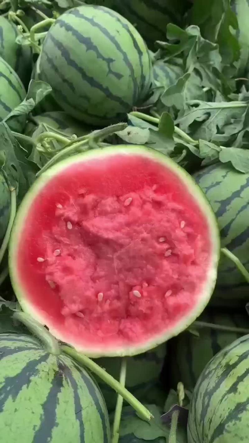 美都