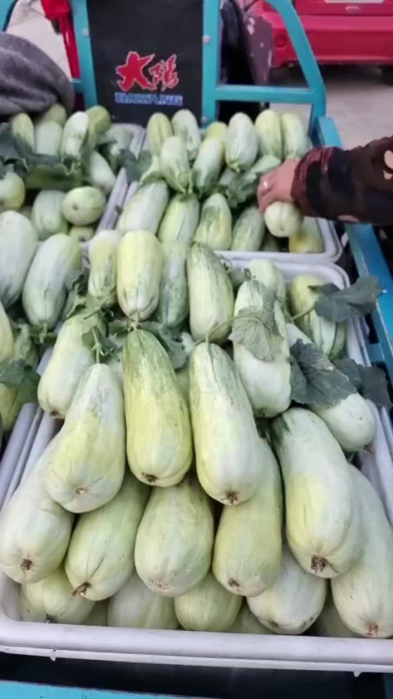 博洋六一大量现货，口感脆甜。
