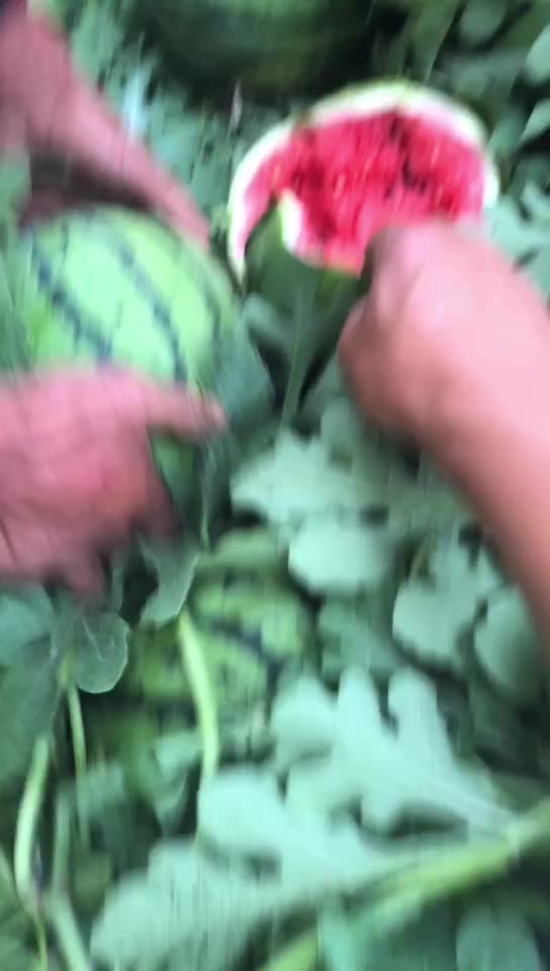 江苏睢宁魏集瑞鑫农业