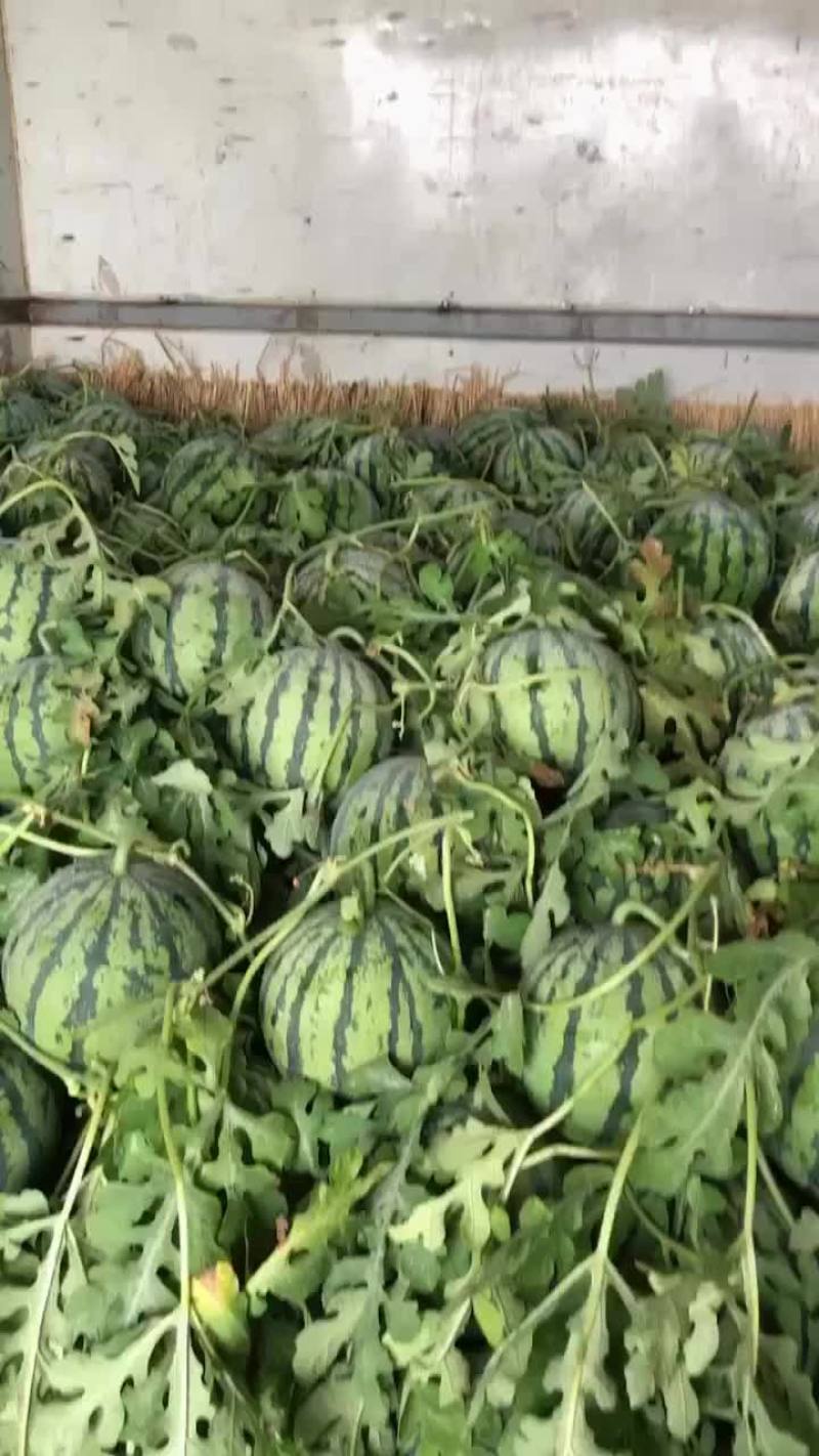 江苏睢宁魏集瑞鑫农业