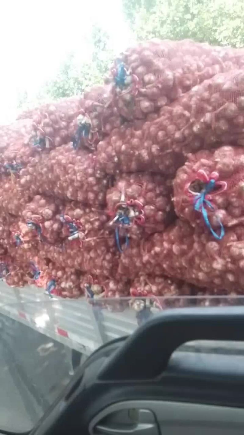 河南大蒜。产地直发品种齐全对接全国巿厂