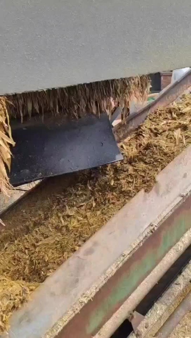 黄储